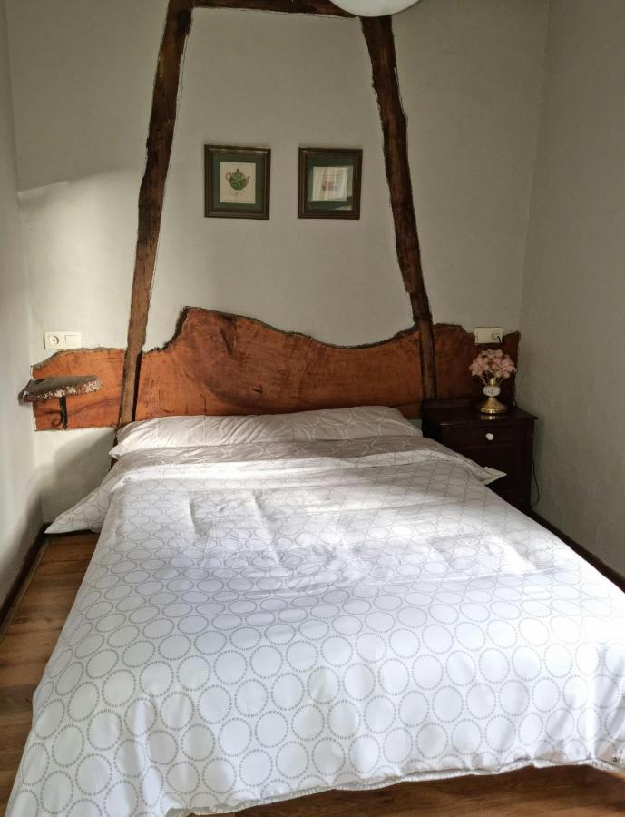 Corias Casona Junto Al Narcea Villa Ngoại thất bức ảnh